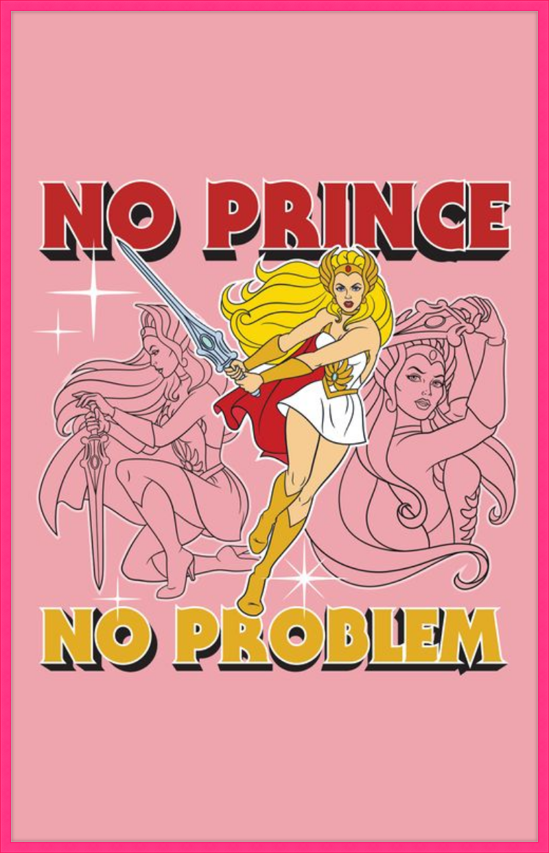 Masters of the Universe No Prince No Problem