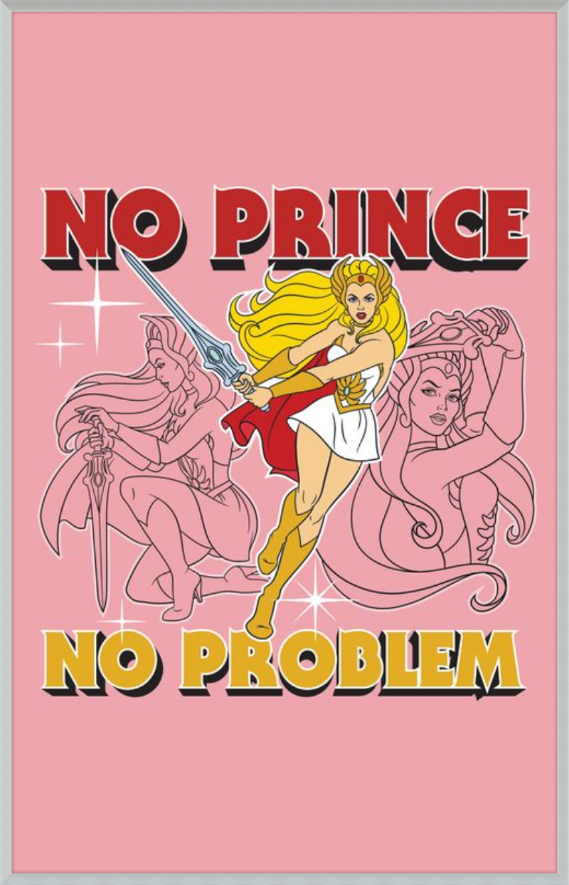 Masters of the Universe No Prince No Problem
