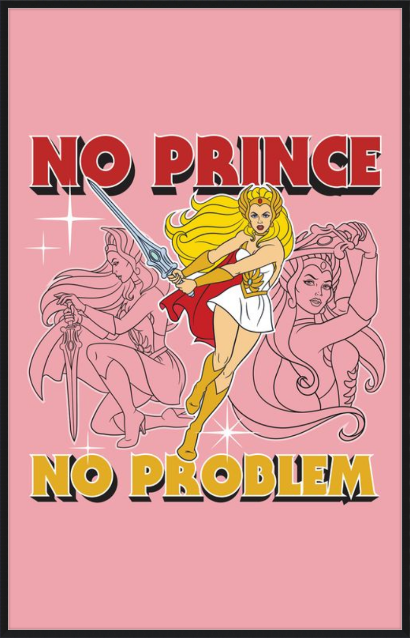 Masters of the Universe No Prince No Problem