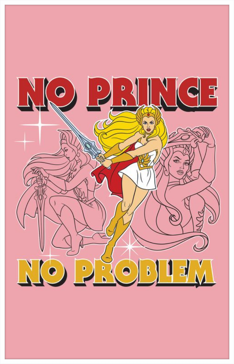 Masters of the Universe No Prince No Problem