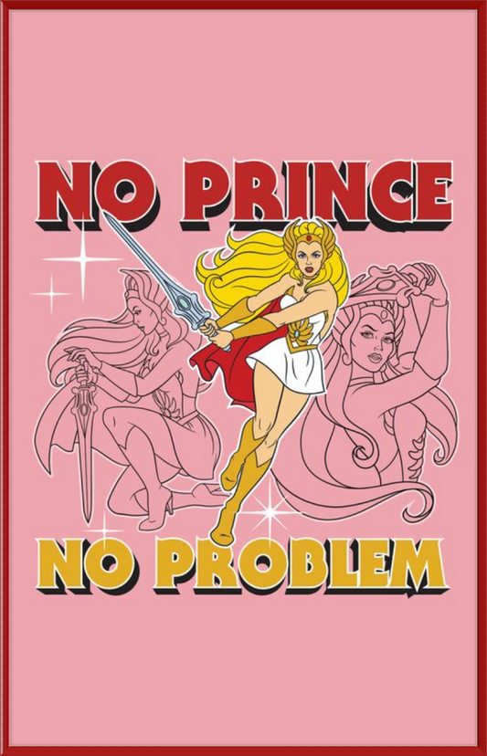 Masters of the Universe No Prince No Problem